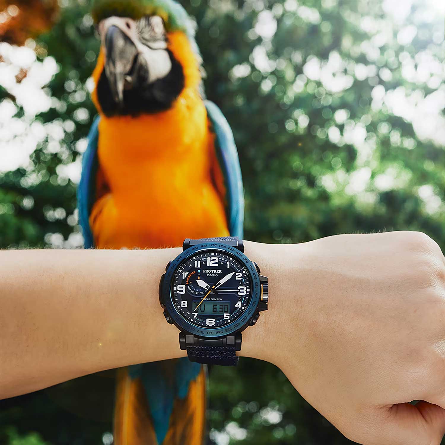 Японские наручные часы CASIO PRO TREK PRG-601YB-2