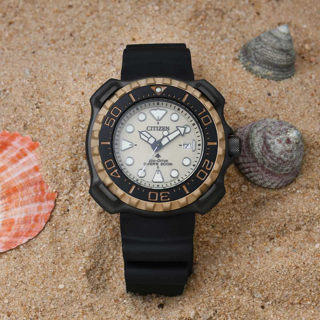 Японские наручные часы CITIZEN  BN0226-10P