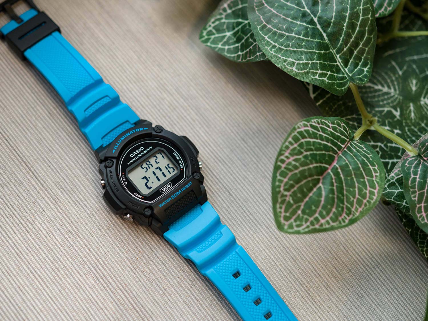 Японские наручные часы Casio Collection W-219H-2A2VEF с хронографом