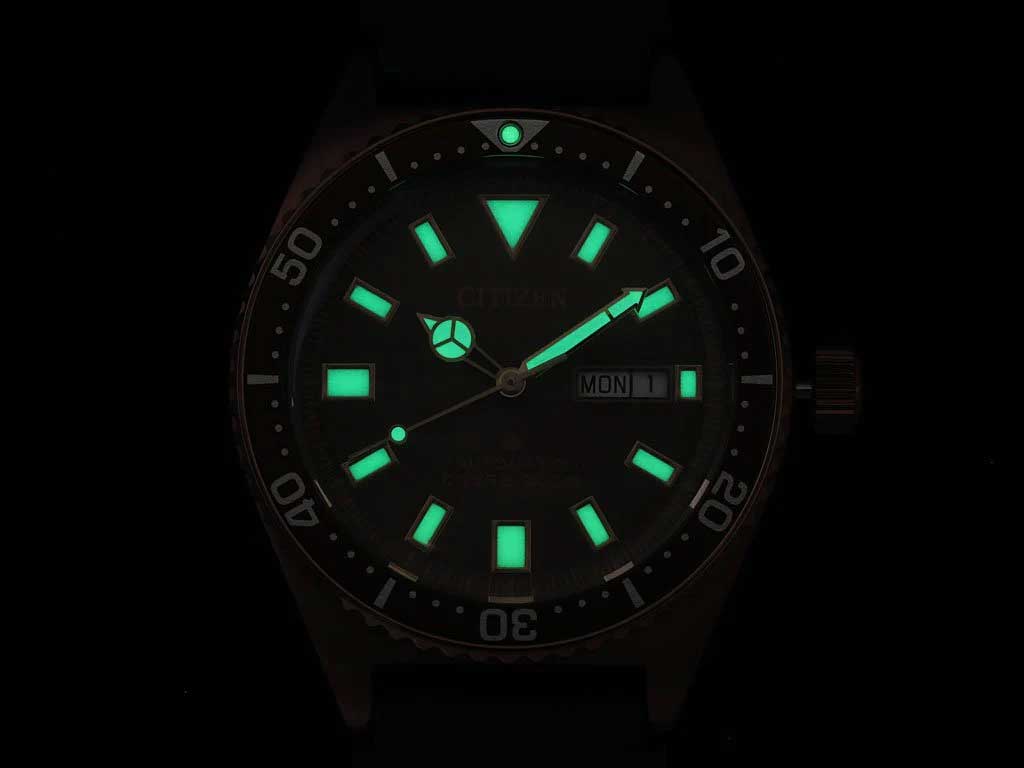 Японские наручные часы CITIZEN  NY0125-08W