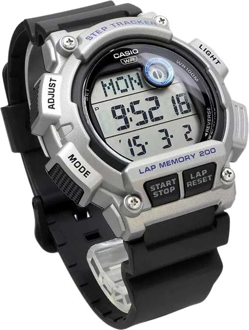 Японские наручные часы CASIO CASIO COLLECTION WS-2100H-1A2