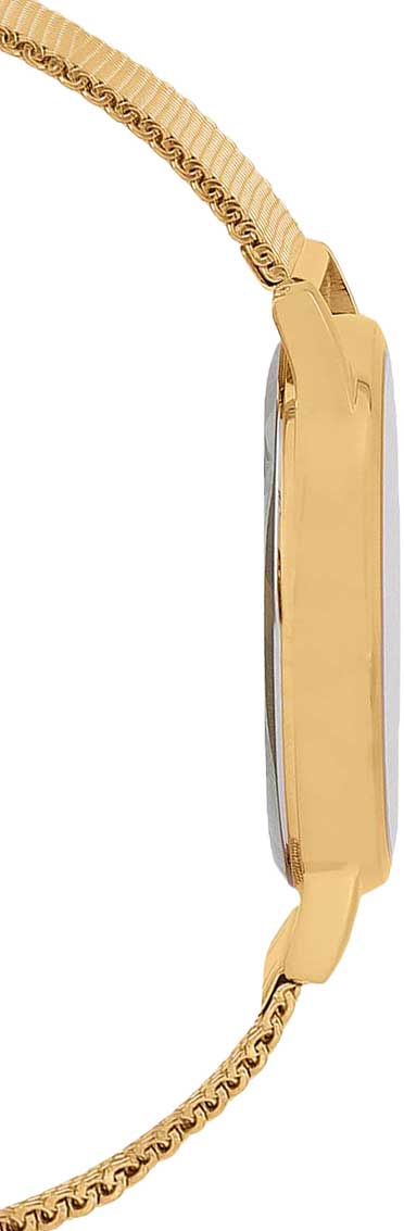 Японские наручные часы CASIO CASIO COLLECTION MTP-B135MG-1A