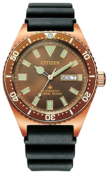 Японские наручные часы CITIZEN  NY0125-08W