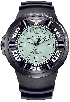 Японские наручные часы CITIZEN  BJ8055-04X